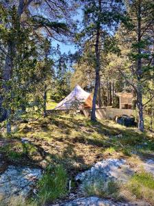 a tent in the middle of a field with trees at Glamping in the Trosa Archipelago in Trosa