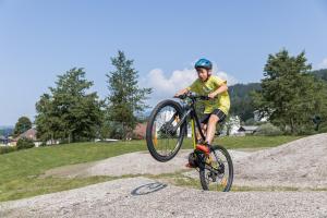 a man doing a trick on a bike at Chalets am Badesee Lassing in Lassing