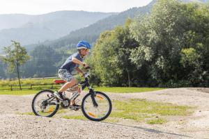 Foto de la galería de Chalets am Badesee Lassing en Lassing