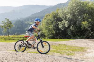 Jízda na kole v ubytování Chalets am Badesee Lassing nebo okolí
