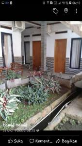 Foto sihtkohas Puncak asuva majutusasutuse RF Hotel galeriist