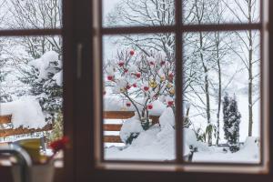 Hilltop Appartement v zime