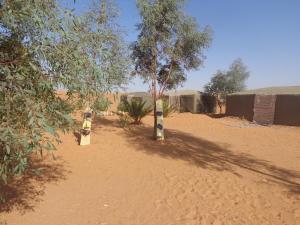 two trees in the middle of a dirt field at Camel Trek Bivouac in Merzouga
