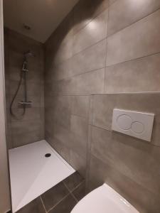 uma casa de banho com um chuveiro e um WC. em Den Ast em Poelkapelle