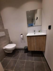 a bathroom with a toilet and a sink and a mirror at Den Ast in Poelkapelle