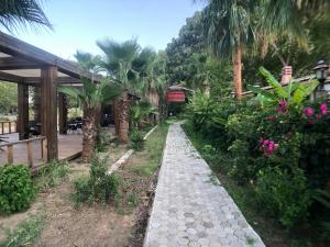 Zahrada ubytování Garden Pansiyon Çıralı
