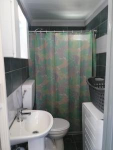 a bathroom with a sink and a toilet and a shower curtain at Sunny cozy House with grand courtyard in Leonidion +20 photos