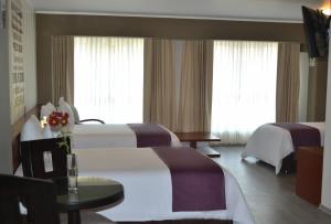 Postel nebo postele na pokoji v ubytování Hotel Andesmar