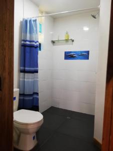 a bathroom with a toilet and a blue shower curtain at Finca TRADICIONAL EL OTOÑO in Pijao +99 photos