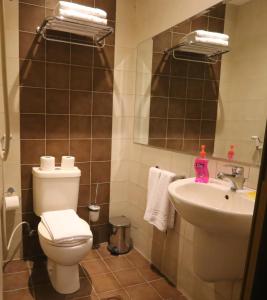 a bathroom with a toilet and a sink at Riviera Hotel in Amman