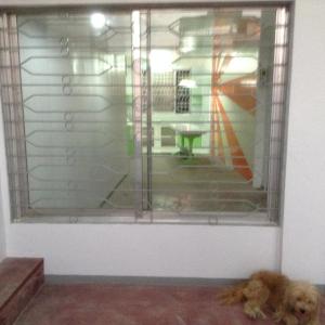 a dog is sitting in front of a window at Lavarez Apartment in Lucena