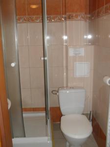 La salle de bains est pourvue d'une douche et de toilettes. dans l'établissement Apartmany St. Maria, à Staré Hory