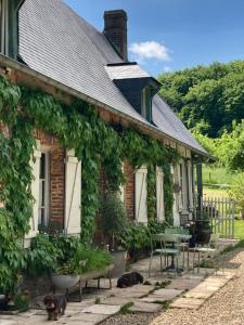 a house covered in ivy with a table and chairs at La Ferme du Val de Lys in Nolléval +6 photos