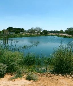 Gallery image of דירת אירוח בירוחם - הקומה השניה in Yeroẖam