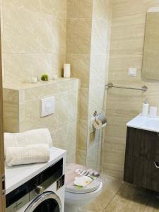 a bathroom with a toilet and a washing machine in it at Dina Lux Iasi Apartment in Iaşi +49 photos
