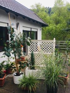 Ein Garten an der Unterkunft Luftkurort, Perle des Neckartals