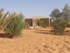 Fotografie z fotogalerie ubytování Camel Trek Bivouac v destinaci Merzouga