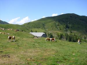 Paesaggio naturale nelle vicinanze dell'affittacamere