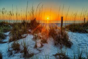 a sunset on the beach with grass in the sand at Loggerhead Cay #401 in Sanibel
