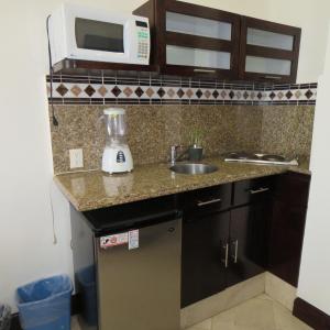 encimera de cocina con fregadero y licuadora en Suites Melchor Ocampo 445 en Ciudad de México