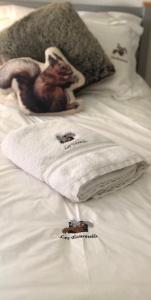 a white towel with a picture of a dog on a bed at Les Ecureuils Squirrel Lodge in Oz