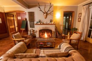 a living room with a couch and a fireplace at Hotel El Ciervo in Villarrica