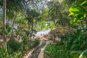 a sandy beach with palm trees and palm trees at Sueño del Mar Beachfront Hotel in Tamarindo