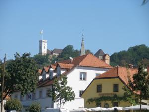 Gallery image of House Trta in Ljubljana