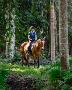 una persona montando un caballo en la hierba en The Outlook Cabana, en Terrigal