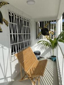 a chair on a porch with a bird in the window at Fuentes House in San Andrés