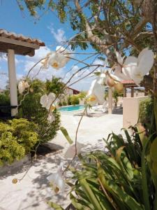 Bazén v ubytování Pousada Vale Encantado nebo v jeho okolí