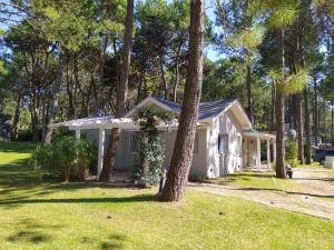 una pequeña casa blanca con un árbol en el patio en Pinamar Norte Casa Aquiles 8 pax en Pinamar