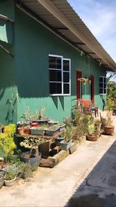a green building with potted plants in front of it at Homestay D HANA formely known as d sofia homestay in Kuala Terengganu