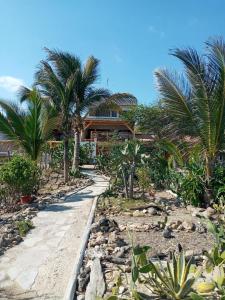 a house on a beach with palm trees and a pathway at Los Pinos de Zorritos Condominio in Zorritos