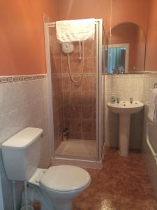 a bathroom with a toilet and a shower and a sink at Broom Lodge in Largs