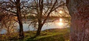 a view of a body of water with trees at Chambre d hôtes - La Maison 1882 in Pouilly-sur-Loire