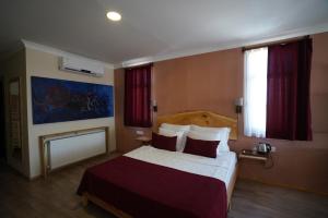 Habitación de hotel con cama grande y ventana en Vinum Bağ Oteli & Spa Tennis Courts By Edrine Vine en Edirne