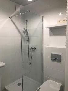 a bathroom with a glass shower with a toilet at Holiday Hill Apartamenty Neli in Karpacz