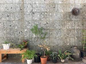 una pared de piedra con macetas junto a un banco de madera en J-Hoppers Beppu Guesthouse ジェイホッパーズ別府ゲストハウス, en Beppu