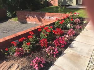 ein Blumenbett mit roten und rosa Blumen im Hof in der Unterkunft Delightful detached Cottage in Village Centre in Plymtree + 21 Fotos