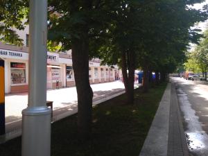 a street with trees on the side of the road at Apartament on Gorkogo 26 in Bobruisk