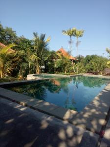 a swimming pool in front of a house with palm trees at Pier26 Bali Homestay in Nusa Dua