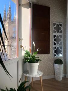 Balkon lub taras w obiekcie Una MIRADA A LA CATEDRAL-Apartamentos Burgos Catedral