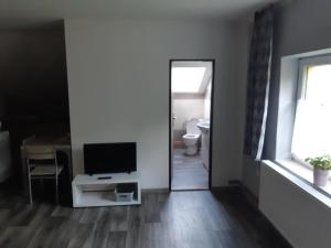 Televízia a/alebo spoločenská miestnosť v ubytovaní Apartmány u Mlýna