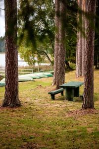 a green picnic table in a park with trees at LVM tūrisma un atpūtas centrs "Spāre" in Spāre