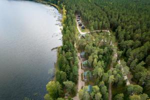 an aerial view of a group of trees and a lake at LVM tūrisma un atpūtas centrs "Spāre" in Spāre