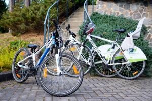 three bikes are parked next to each other at LVM tūrisma un atpūtas centrs "Spāre" in Spāre