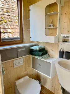 y baño con aseo y lavamanos. en Biolandhof Bodensee, en Markdorf