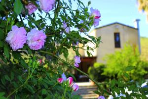 Gallery image of Agriturismo Tarantola in Alcamo