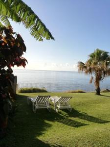 Naturlandskabet i nærheden af lejligheden + 7 billeder